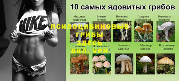 гашиш Абаза