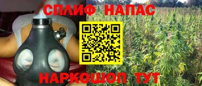 ГАЛЛЮЦИНОГЕННЫЕ ГРИБЫ Новодвинск