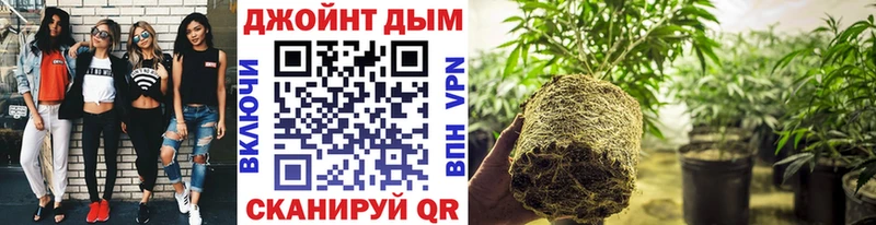 Бошки марихуана Bruce Banner  как найти наркотики  kraken ССЫЛКА  Уварово 